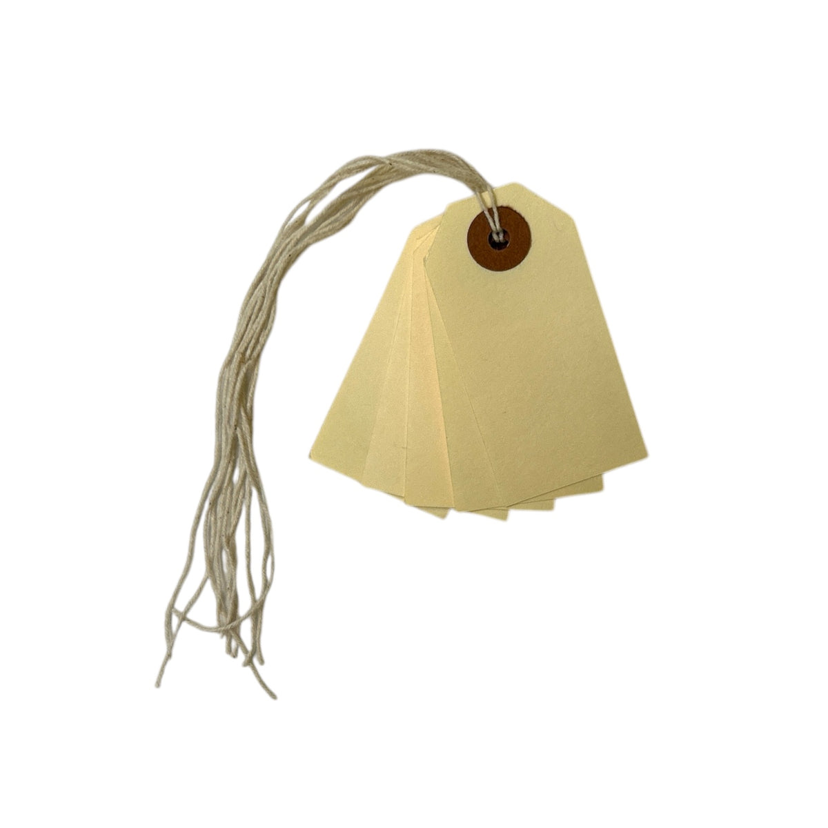 Box of 1000 70mm x 35mm Ivory Strung Tags– Choice Wholesale