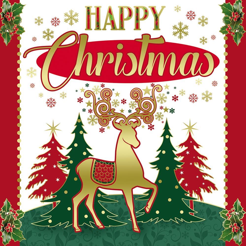 Pack of 10 Festive Reindeer Christmas Boxed Cards