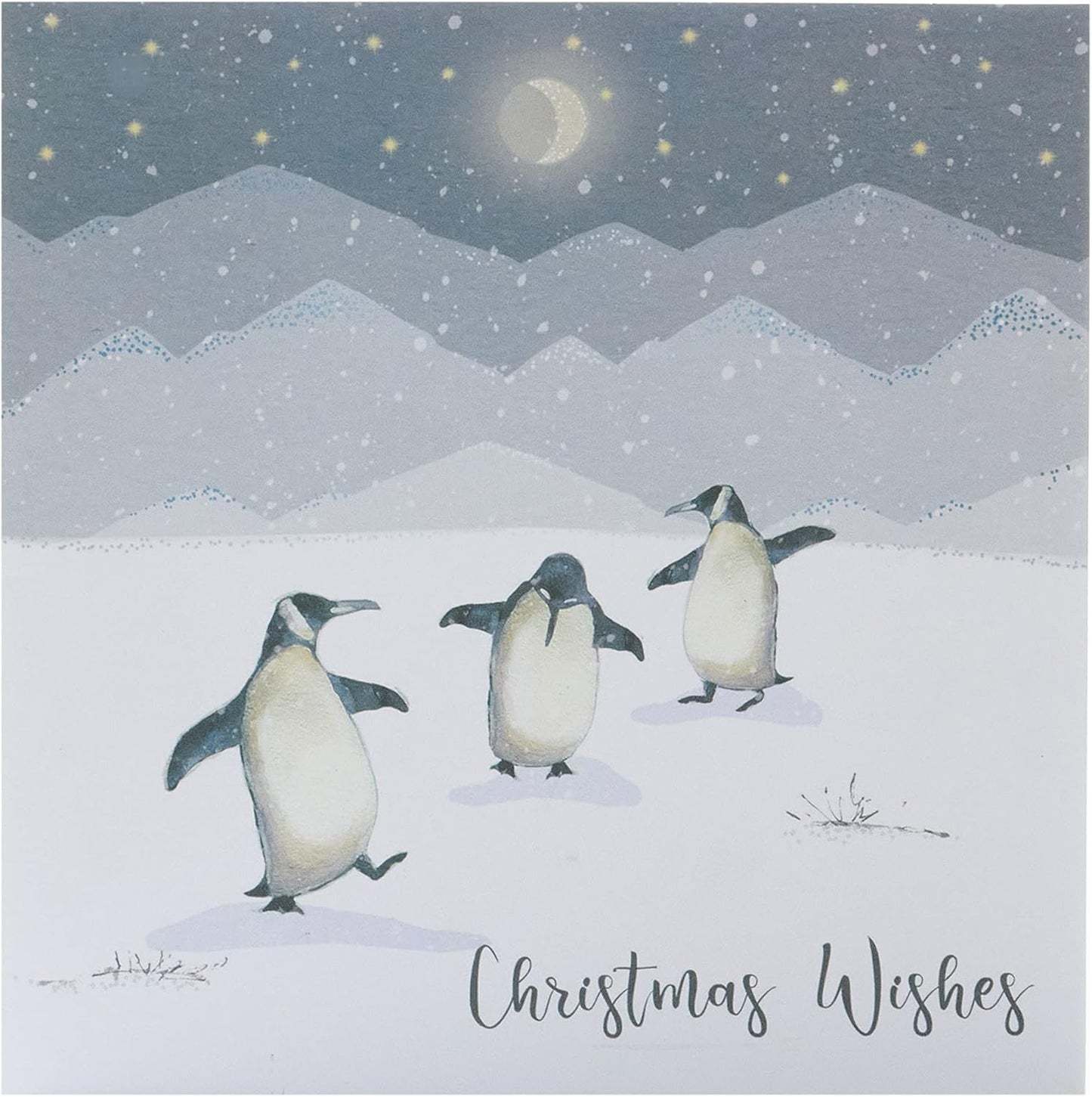Pack of 8 Dancing Penguins Marie Curie Charity Christmas Cards