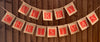 Merry Christmas 2 Strings Hessian Bunting 14 Square Pennants