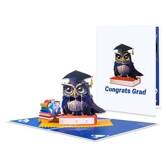 Owl Celebration Scene 3D Pop Up Graduation Congratulations Card