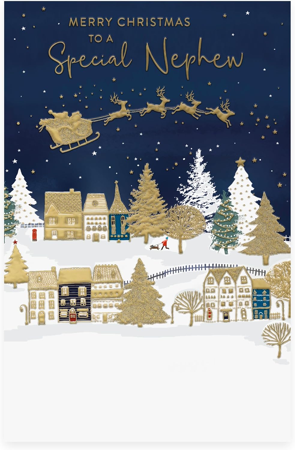 Santa On Sledge Design Nephew Christmas Card