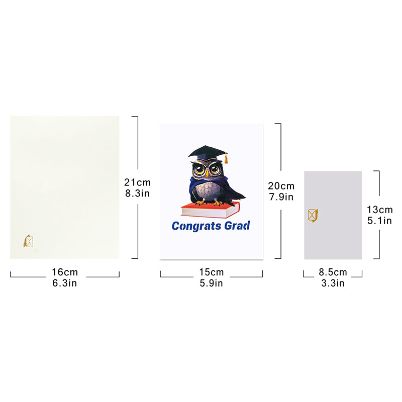 Owl Celebration Scene 3D Pop Up Graduation Congratulations Card