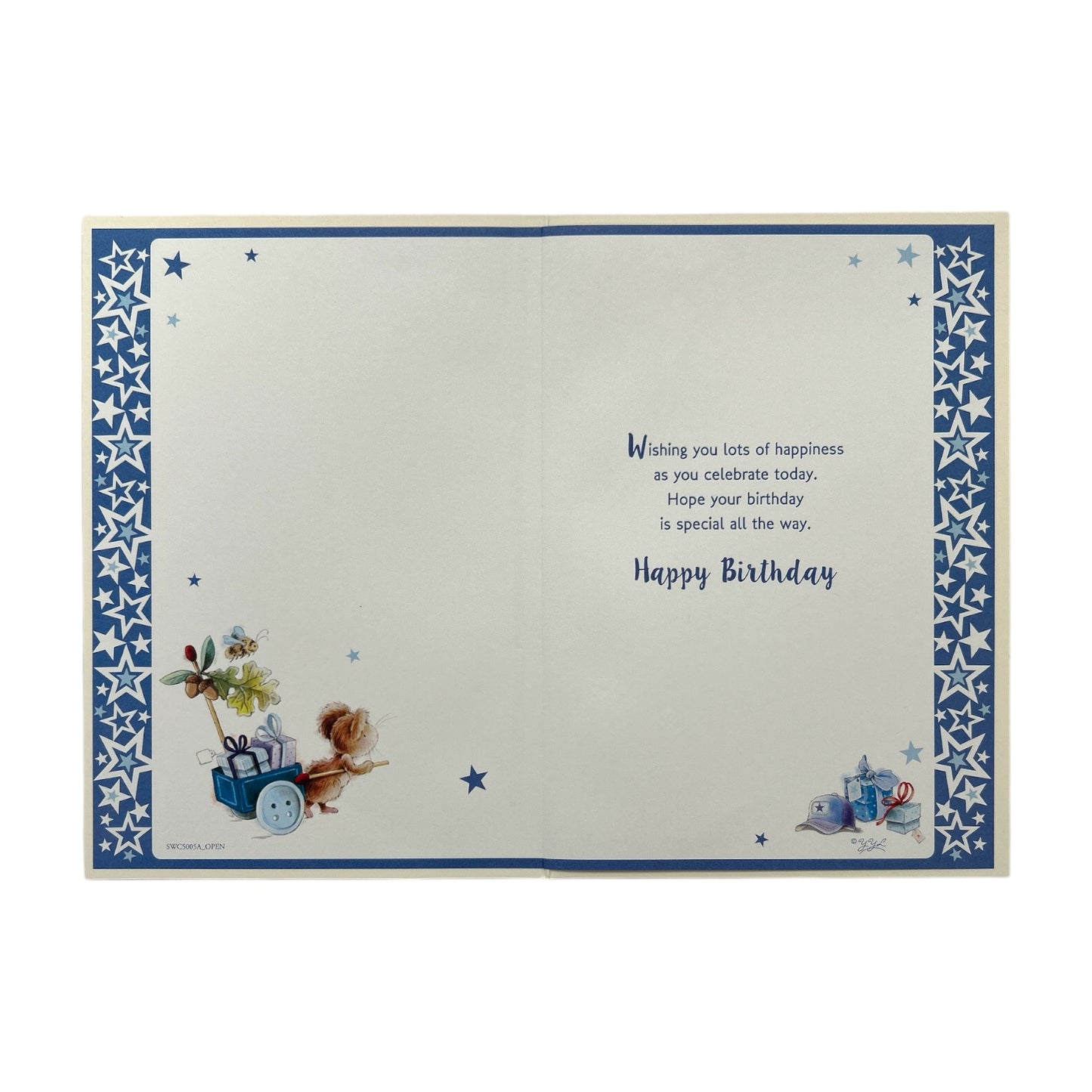 To Dear Nephew Cap and Gifts Design Birthday Card
