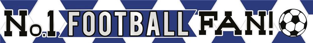 "No 1 FOOTBALL FAN!" Blue and White Football Banners