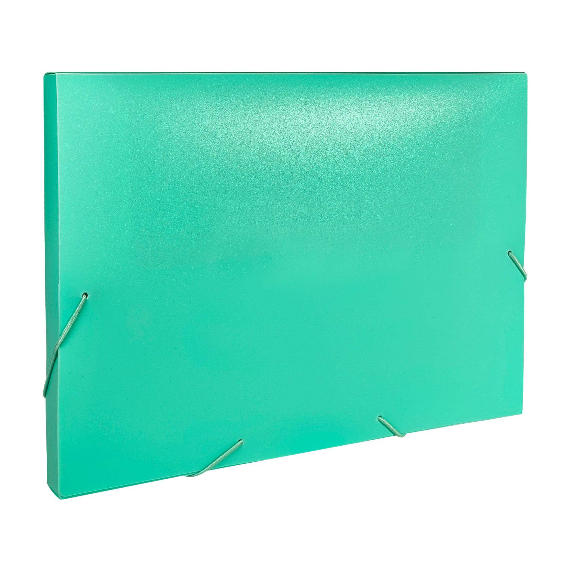 Pastel Green A4 Elastic Closure Box File– Choice Wholesale