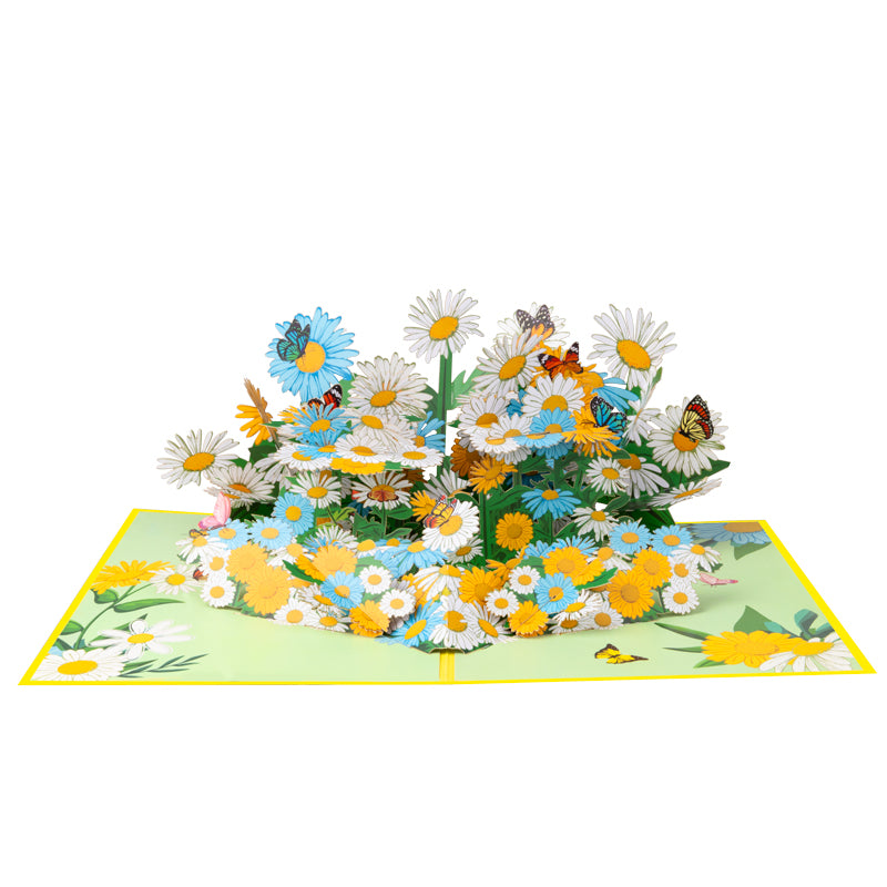 Daisy Delight 3D Floral Pop Up Greeting Card
