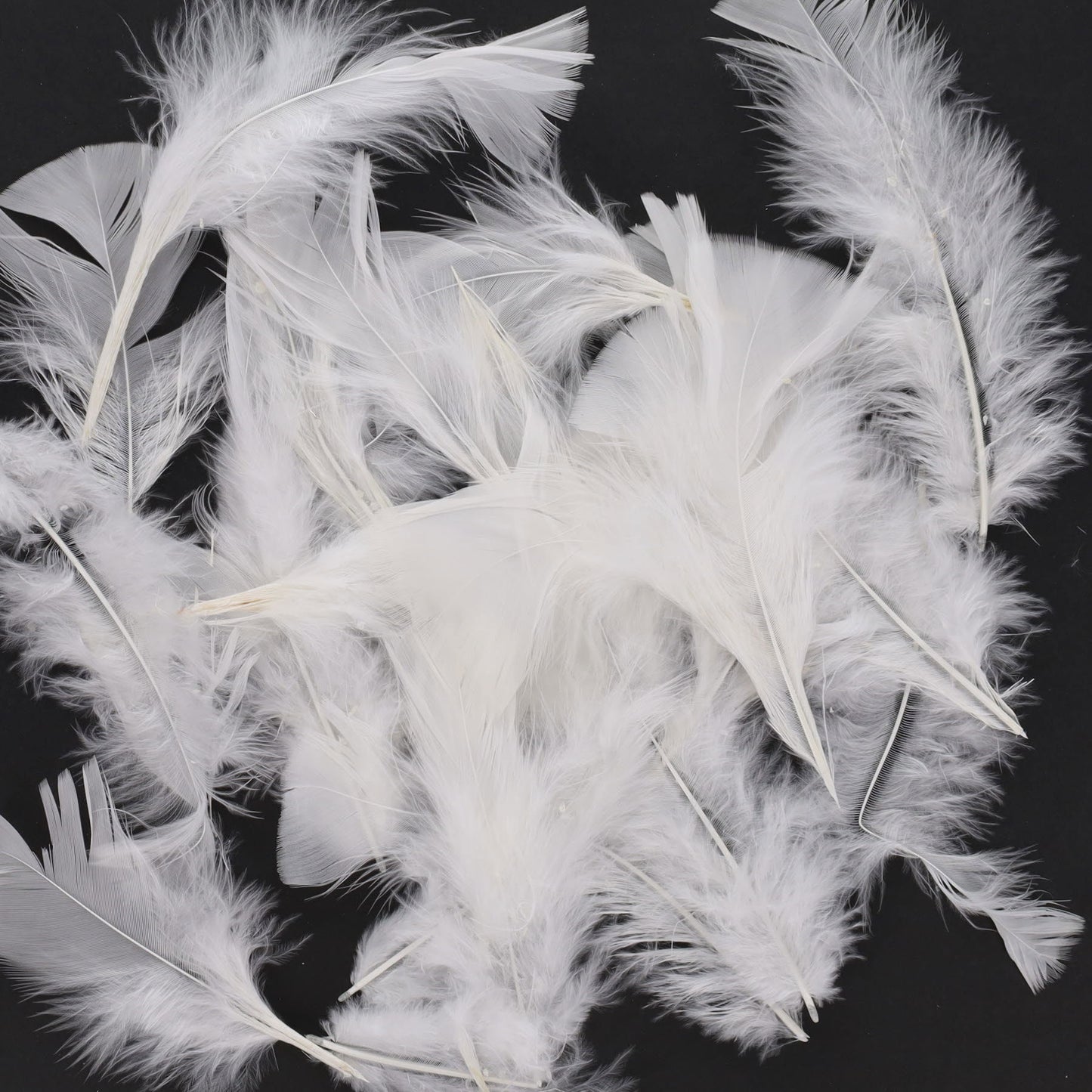 Bag of 20g White Feathers by Icon Craft