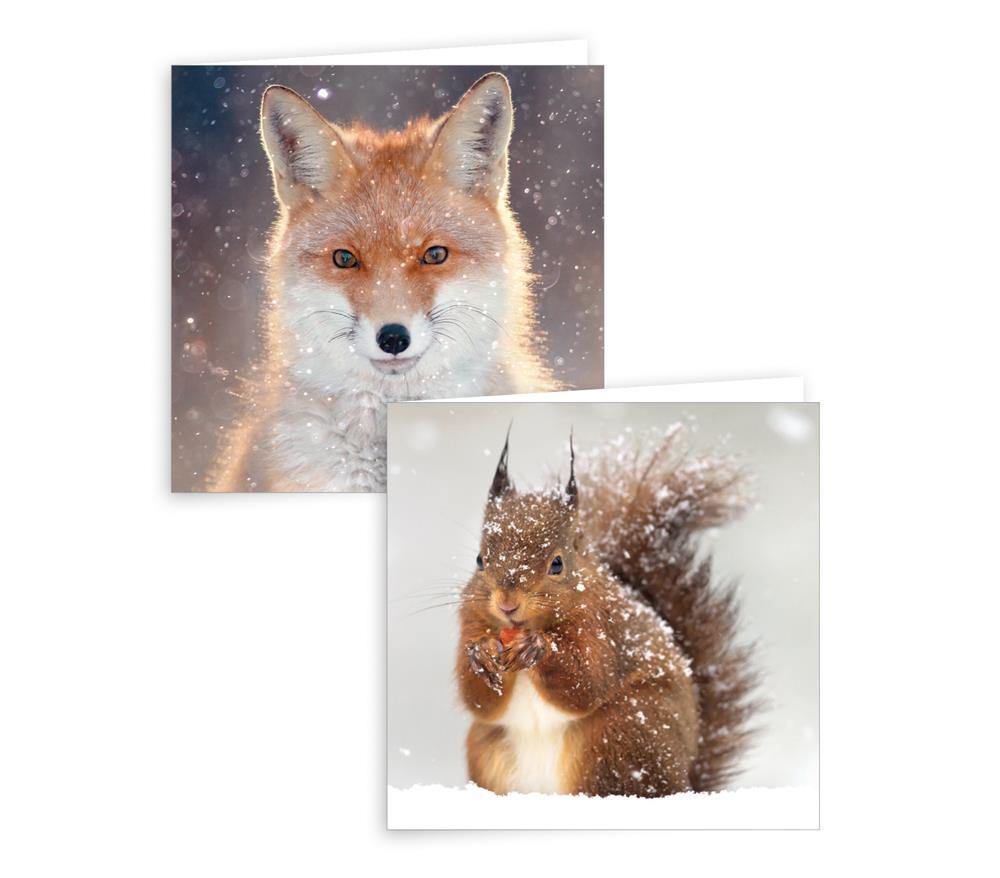 Pack of 10 Squirrel and Fox Design Square Christmas Greeting Cards