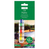Pack of 10 Oil Paints Tubes 12 ml