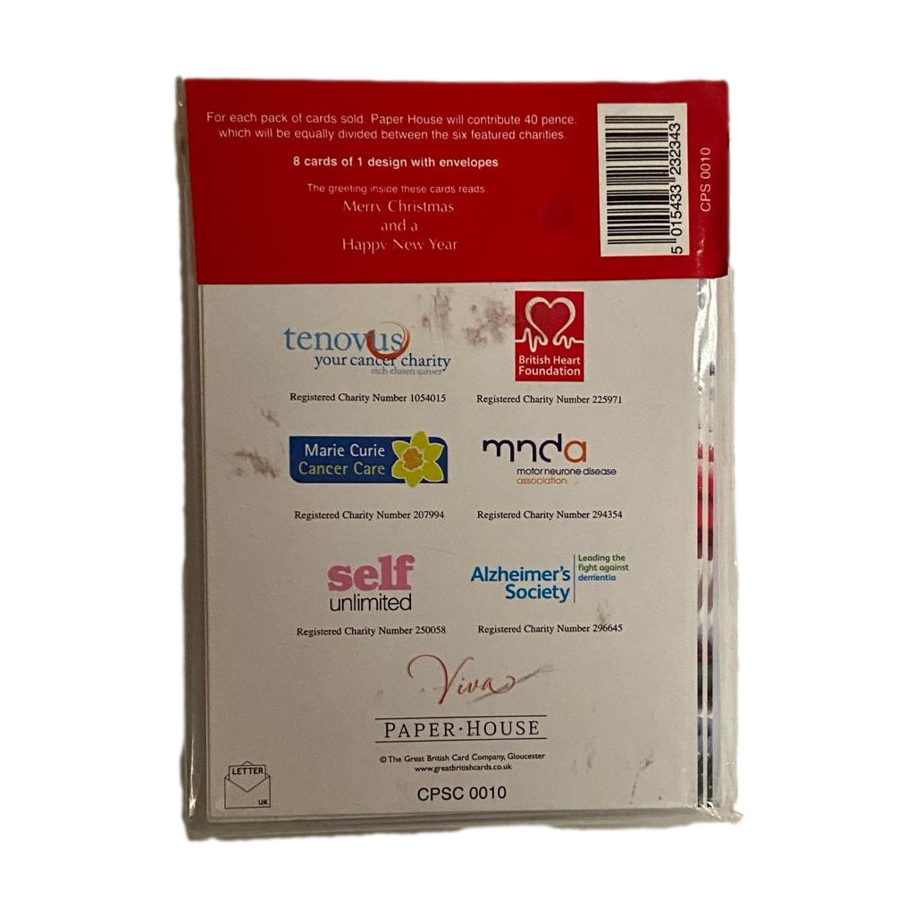 Medici Charity Christmas Children and Snowman