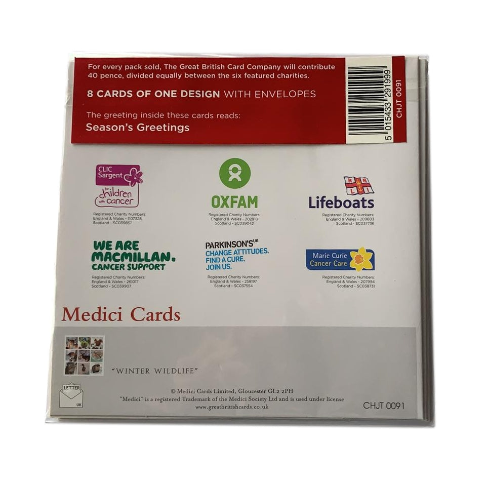 Pack of 8 Medici Charity Cards Winter Animals Design