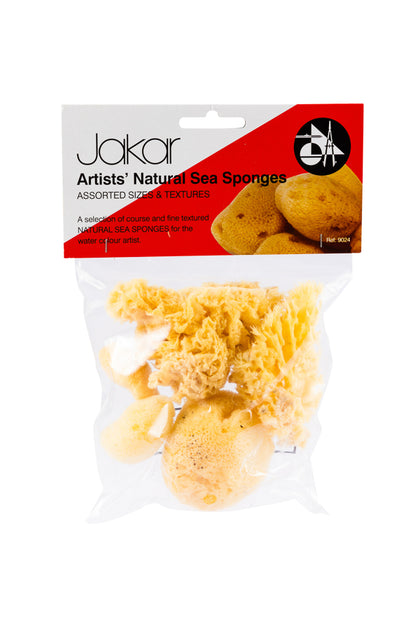 Variety Pack of Natural Sea Sponge