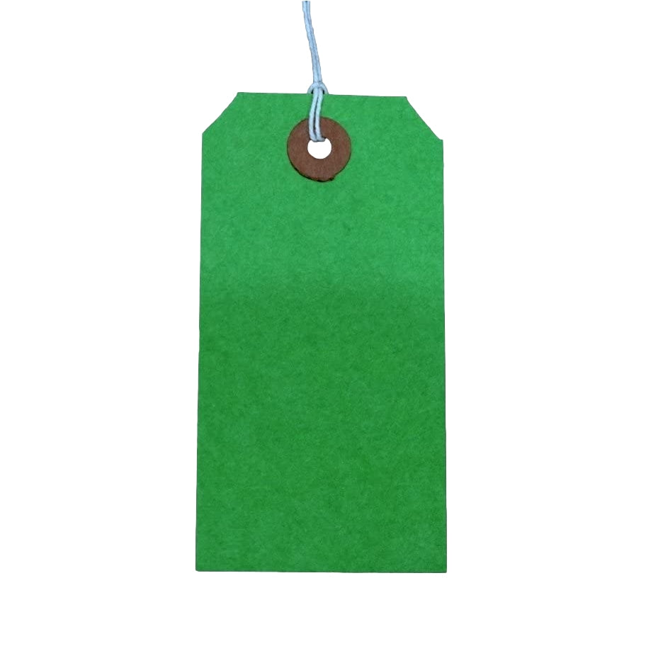 Box of 1000 120 x 60mm Green Luggage Tags