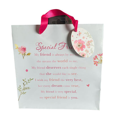 Gift Bag Special Friend Anytime Christmas Birthday