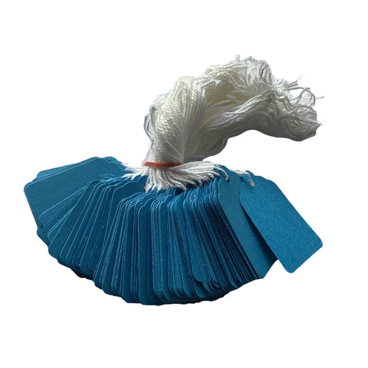 Box of 1000 27x42mm Blue Strung Tags