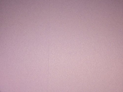 Pack Of 10 High Quality Place Cards (Lilac Colour)