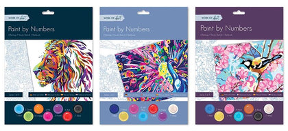 Box of 12 Paint by Numbers Senior Sets