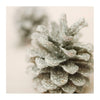 Blank Christmas Card 'Glittered Pinecone'