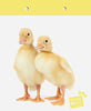 Cute Chicks Easter Gift Bag & Tag