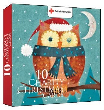 Charity Christmas Cards In Aid of The British Red Cross Christmas Owl Box of Of 10 Cards & Envelopes