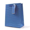 Pack of 12 Embossed Bright Coloured Medium Gift Bags