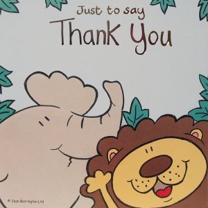 Pack of 10 Jungle Thank You Cards (Elephant & Lion)