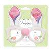 Easter Bunny Design Glasses