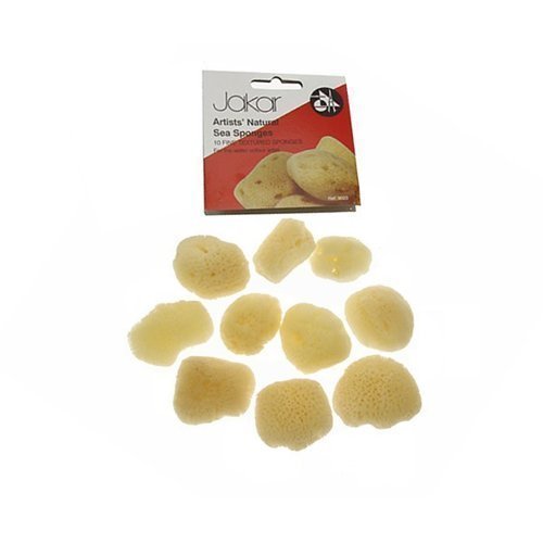 Pack of 10 Natural Sea Sponge