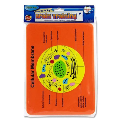 Brain Training Foam Puzzle of Cellular Membrane by Clever Kidz