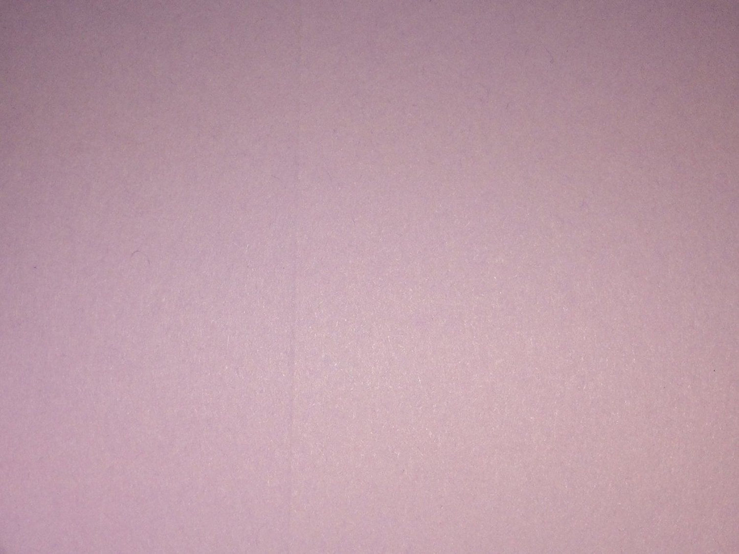 Pack Of 10 High Quality Place Cards (Lilac Colour)
