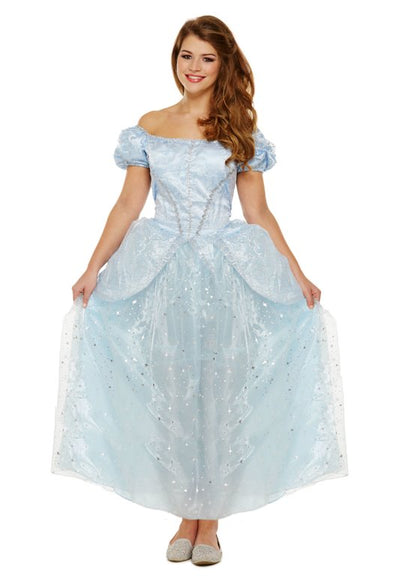 Adult Lost Shoe Princess Fancy Dress Up Costume