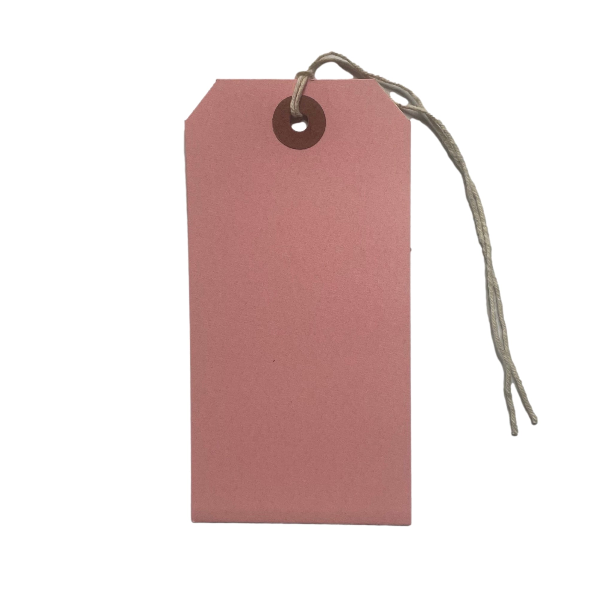 Box of 1000 120 x 60mm Light Pink Luggage Tags