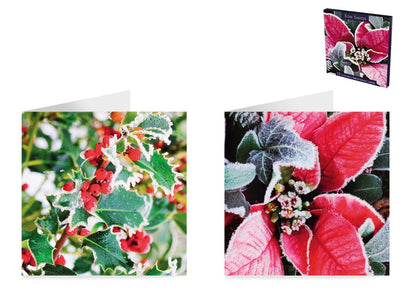 Pack of 12 Photographic Foliage Design Christmas Greeting Cards
