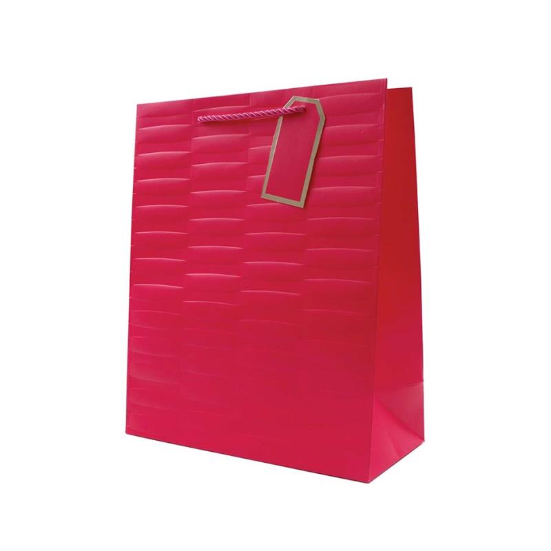 Pack of 12 Embossed Bright Coloured Large Gift Bags