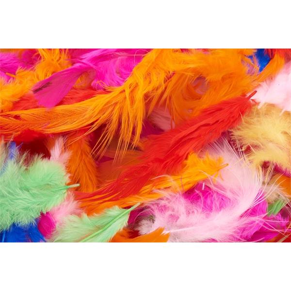 Bag of 7g Bright Feathers by Icon Craft