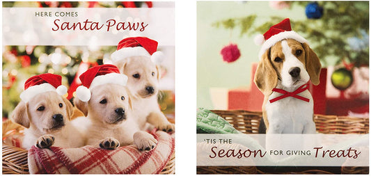 Mini Photographic Charity Christmas Cards, In 2 Designs, Pack of 30
