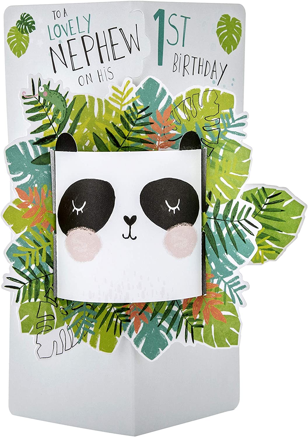 To a Lovely Nephew Cute Panda Design 1st Birthday Card