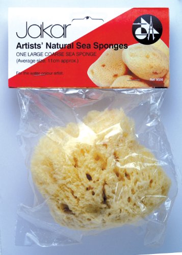 Narual Sea Sponge