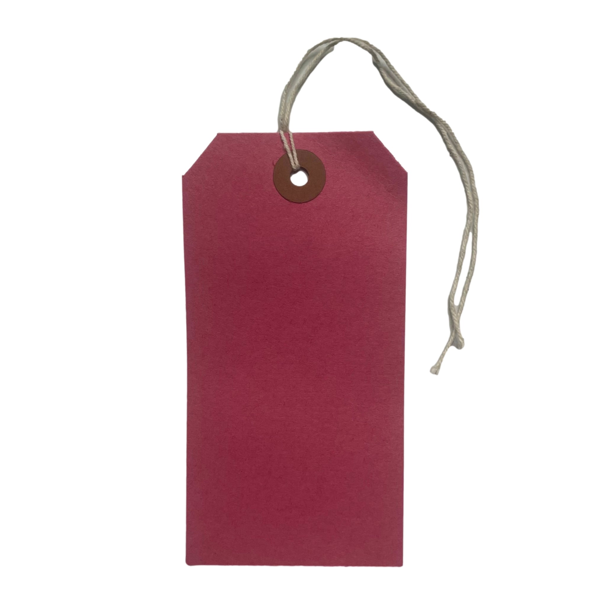 Box of 1000 120 x 60mm Red Luggage Tags