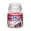 Pan Aroma Small Jar Candle With Lid - Wild Berries