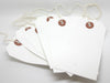 250 Large Reinforced White Strung Tags Luggage Labels 120 x 60mm