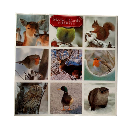 Pack of 8 Medici Charity Cards Winter Animals Design