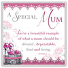 A Special Mum Celebrity Style World's Best Magnet
